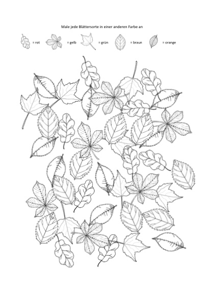 AB-F037-01-005